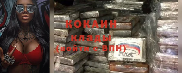 прущая мука Корсаков