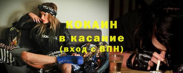 сатива Костерёво