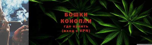 прущая мука Корсаков