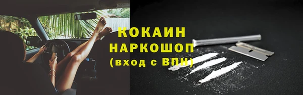 прущая мука Корсаков