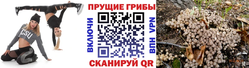 Купить Баймак Псилоцибиновые грибы прущие грибы